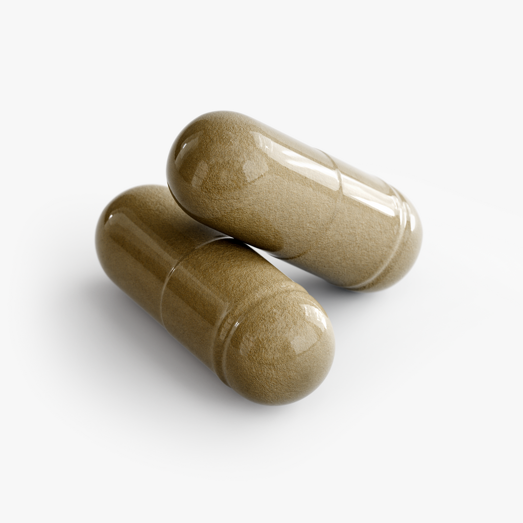 Ginkgo Biloba + Ginseng — Memory, Focus & Cognitive Energy
