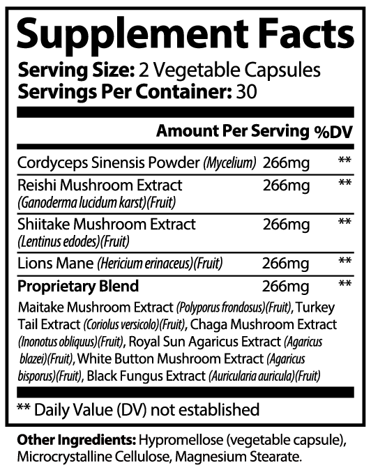 Mushroom Complex 10X — Immunity, Focus & Natural Energy